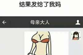 南乐调查反馈